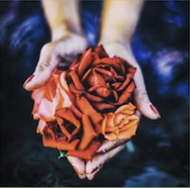 Hands holding a gathering of roses